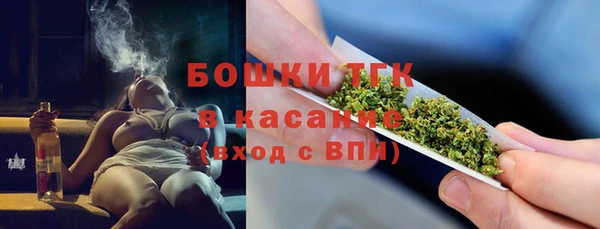гидра Алексеевка