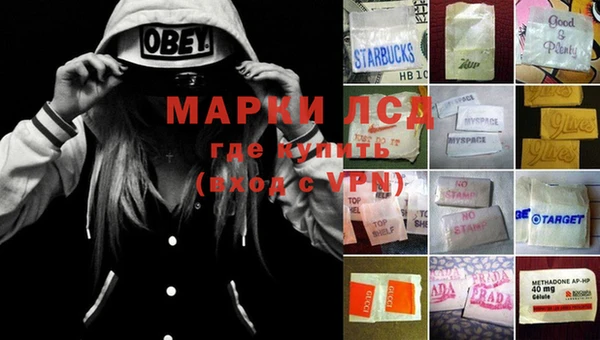 гидра Алексеевка