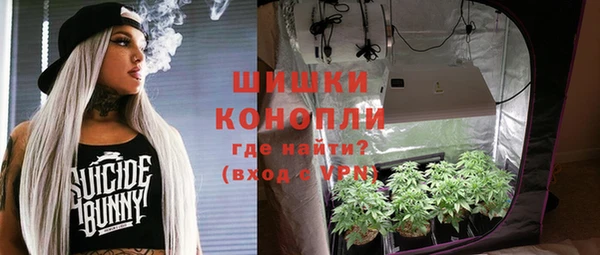 гидра Алексеевка