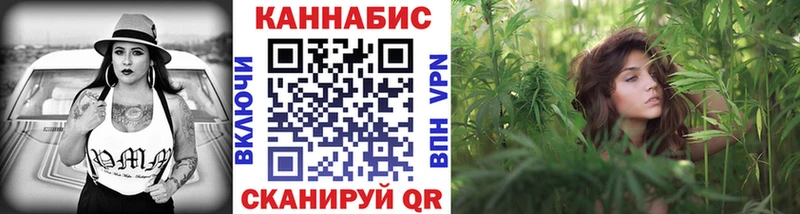 Каннабис сатива  Новоузенск 
